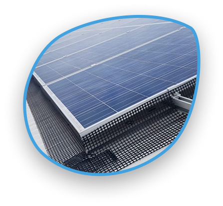 solar-panel-bird-proofing-image