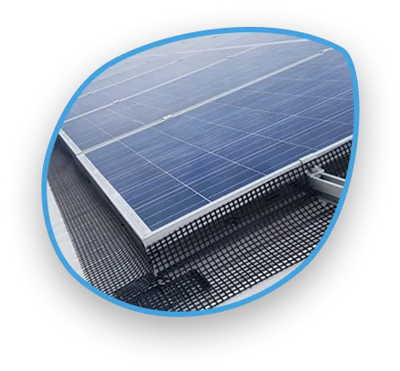 solar-panel-bird-proofing-image