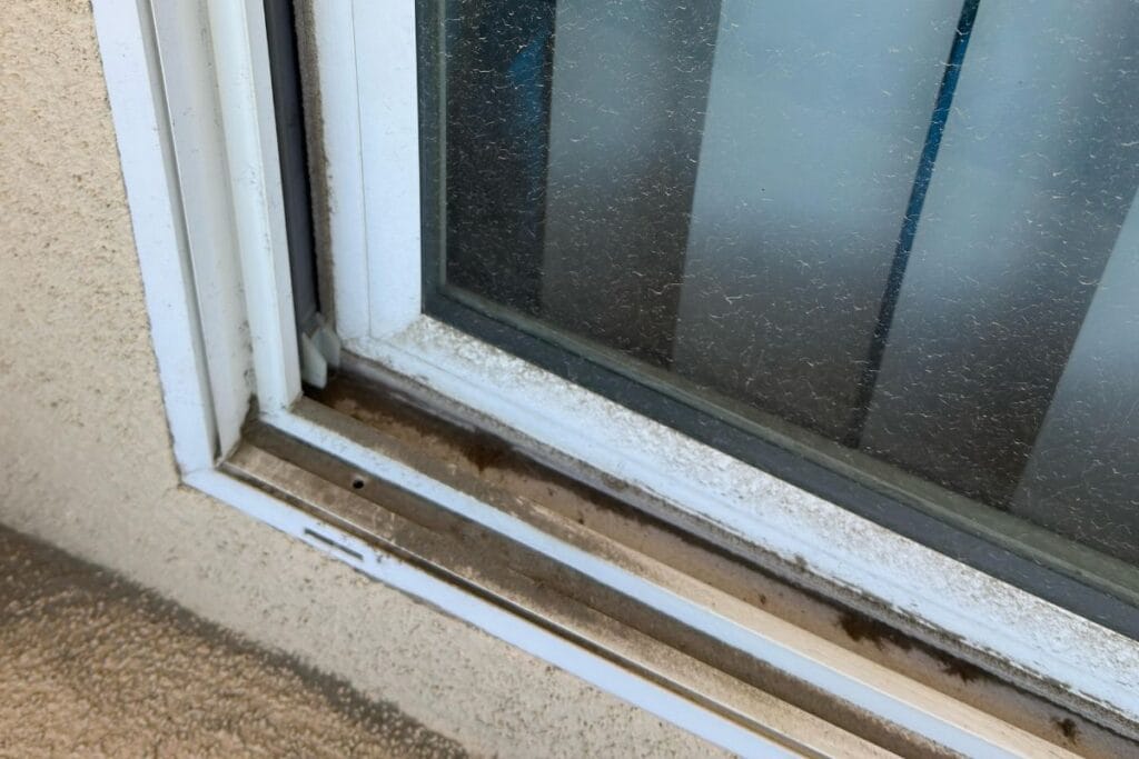 Professional Window Cleaning in Cathedral City