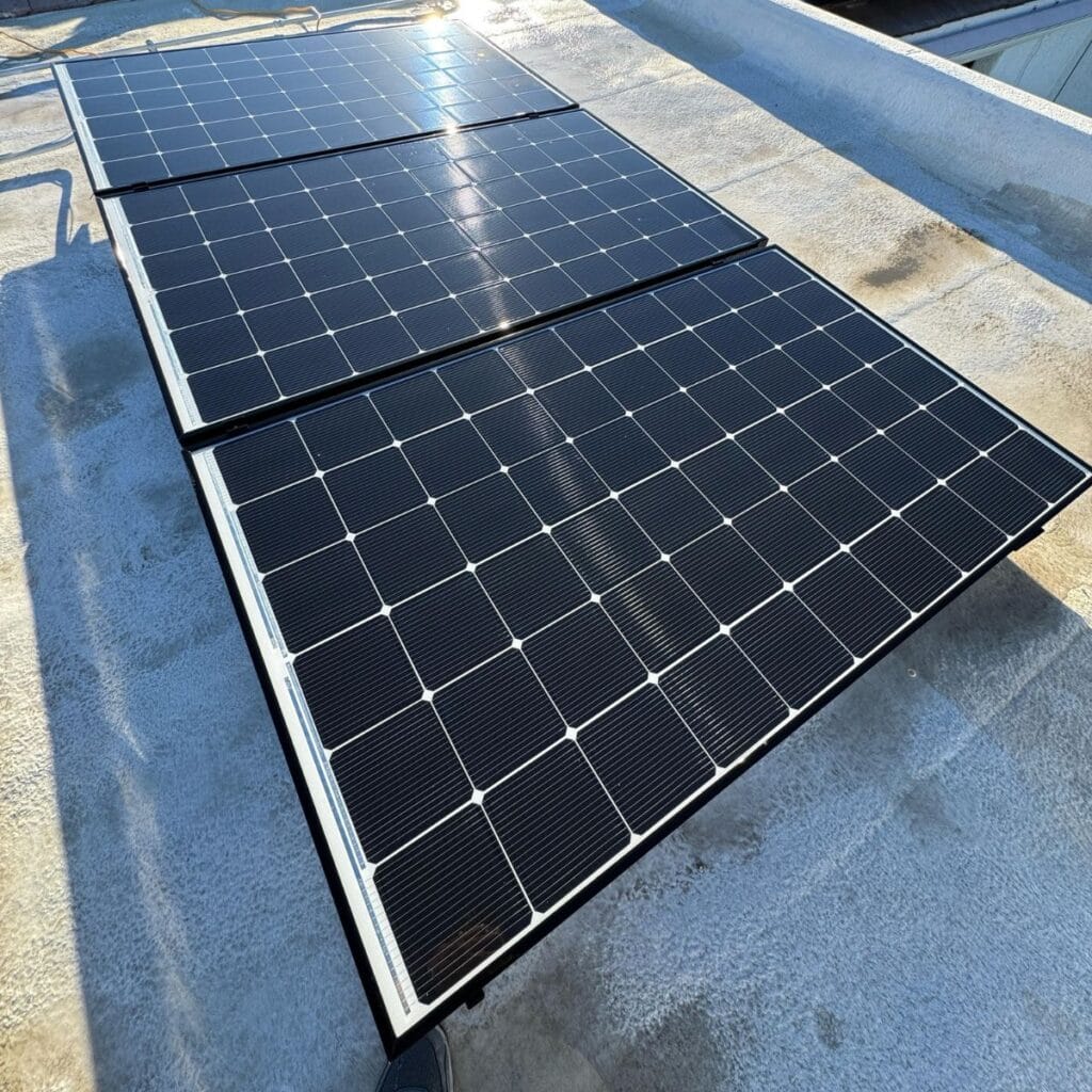 solar panel bird proofing Indio CA (2)