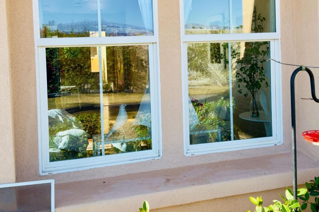 Professional Window Cleaning in Cathedral City